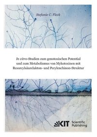 bokomslag In vitro-Studien zum genotoxischen Potential und zum Metabolismus von Mykotoxinen mit Resorcylsäurelakton- und Perylenchinon-Struktur