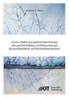 bokomslag In vitro-Studien zum genotoxischen Potential und zum Metabolismus von Mykotoxinen mit Resorcylsäurelakton- und Perylenchinon-Struktur