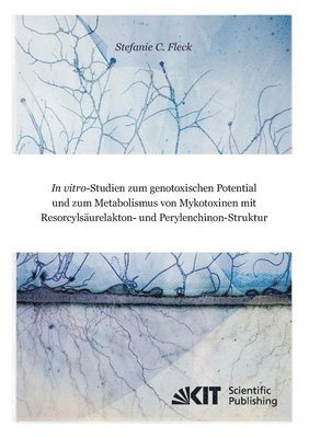 bokomslag In vitro-Studien zum genotoxischen Potential und zum Metabolismus von Mykotoxinen mit Resorcylsaurelakton- und Perylenchinon-Struktur