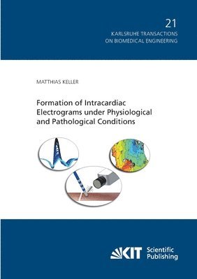 Matthias Keller - Formation of Intracardiac Electrograms under Physiological and Pathological Conditions, Häftad