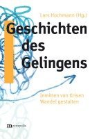 bokomslag Geschichten des Gelingens