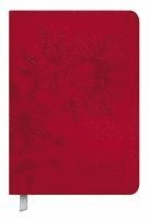 bokomslag Timer Soft Touch 18 Monate Rubin 2026/2027