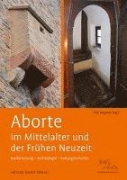 bokomslag Aborte  im Mittelalter und der Frühen Neuzeit