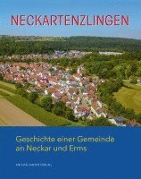 bokomslag Neckartenzlingen