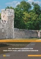 bokomslag Die Ortsbefestigungen von Ober-Ingelheim und Großwinternheim