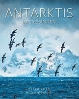bokomslag Antarktis
