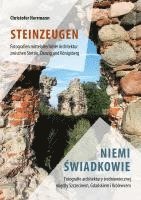 bokomslag Steinzeugen / Niemi Swiadkowie
