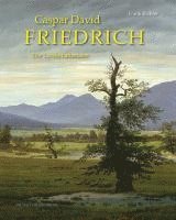 bokomslag Caspar David Friedrich