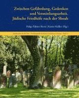 bokomslag Jüdische Friedhöfe nach der Shoah