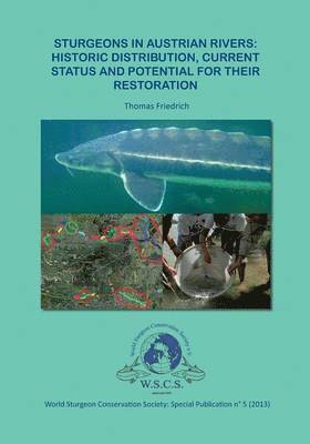 Sturgeons in Austrian Rivers