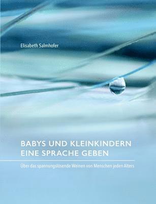 bokomslag Babys und Kleinkindern eine Sprache geben