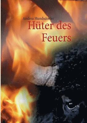 bokomslag Hüter des Feuers