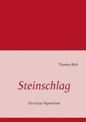 Steinschlag 1