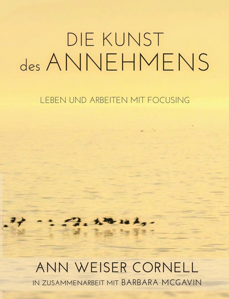 Ann Weiser Cornell - Kunst des Annehmens, Häftad