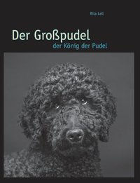 bokomslag Der Gropudel