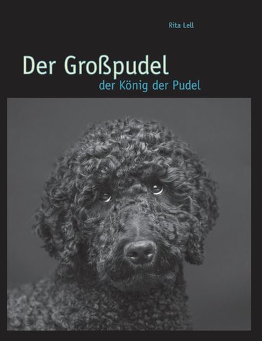 bokomslag Der Gropudel