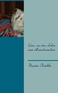 bokomslag Gino, aus dem Leben eines Meerschweinchens