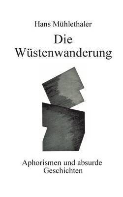 Hans Mühlethaler - Wüstenwanderung, Häftad