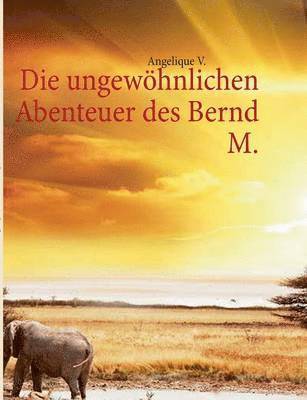 bokomslag ungewöhnlichen Abenteuer des Bernd M.