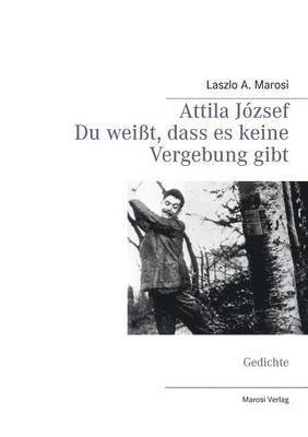 bokomslag Attila Jozsef - Du weisst, dass es keine Vergebung gibt