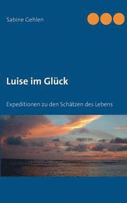 bokomslag Luise im Glück