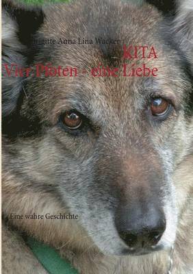 Kita Vier Pfoten - eine Liebe 1