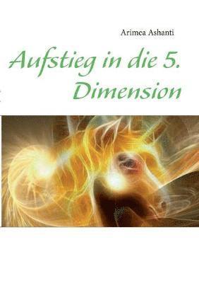 bokomslag Aufstieg in die 5. Dimension