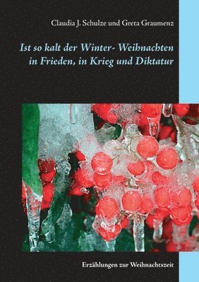 Claudia J Schulze, Greta Graumenz, Claudia J. Schulze - Ist so kalt der Winter, Häftad