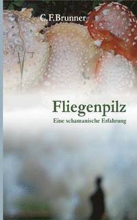 bokomslag Fliegenpilz