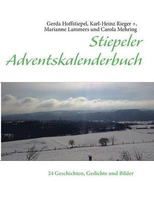 bokomslag Stiepeler Adventskalenderbuch