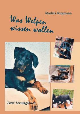 Was Welpen wissen wollen 1