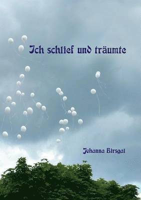 bokomslag Ich schlief und träumte ...