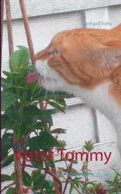 Kater Tommy 1