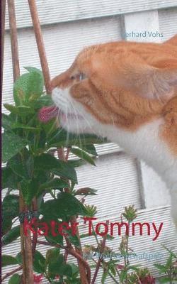 Kater Tommy