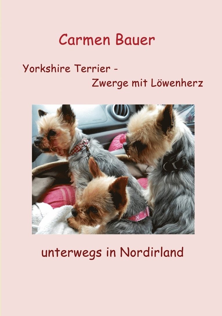 Yorkshire Terrier - Zwerge mit Lwenherz unterwegs in Nordirland 1