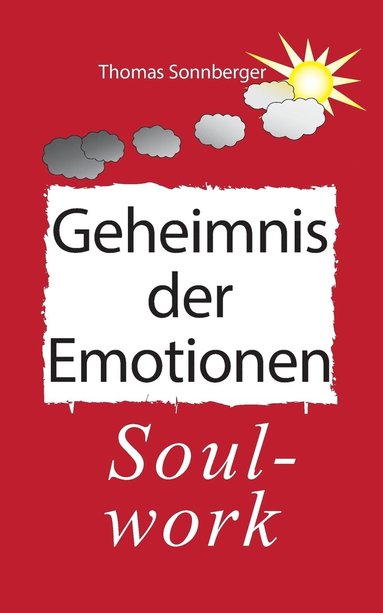 bokomslag Das Geheimnis der Emotionen