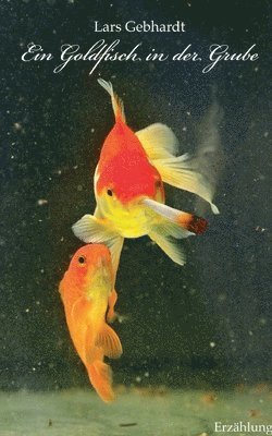 Lars Gebhardt - Goldfisch in der Grube, Häftad