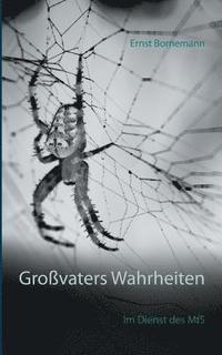 bokomslag Großvaters Wahrheiten
