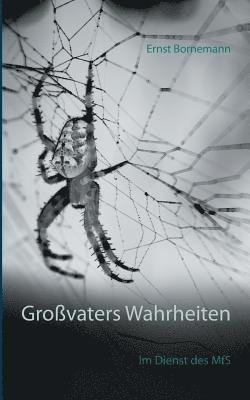 Ernst Bornemann - Großvaters Wahrheiten, Häftad