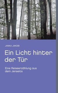 bokomslag Licht hinter der Tür