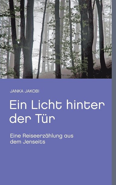 bokomslag Licht hinter der Tür
