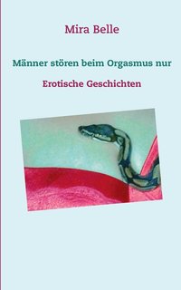 bokomslag Mnner stren beim Orgasmus nur