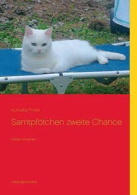 bokomslag Samtpfötchen zweite Chance
