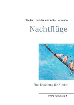 Claudia J Schulze, Anke Hartmann, Claudia J. Schulze - Nachtflüge, Häftad