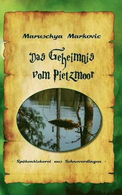bokomslag Geheimnis vom Pietzmoor