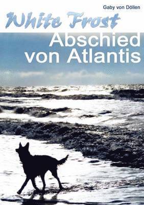 bokomslag White Frost - Abschied von Atlantis