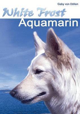 bokomslag White Frost - Aquamarin