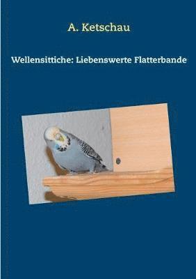 Wellensittiche 1