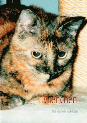 Mienchen die kleine blinde Katze