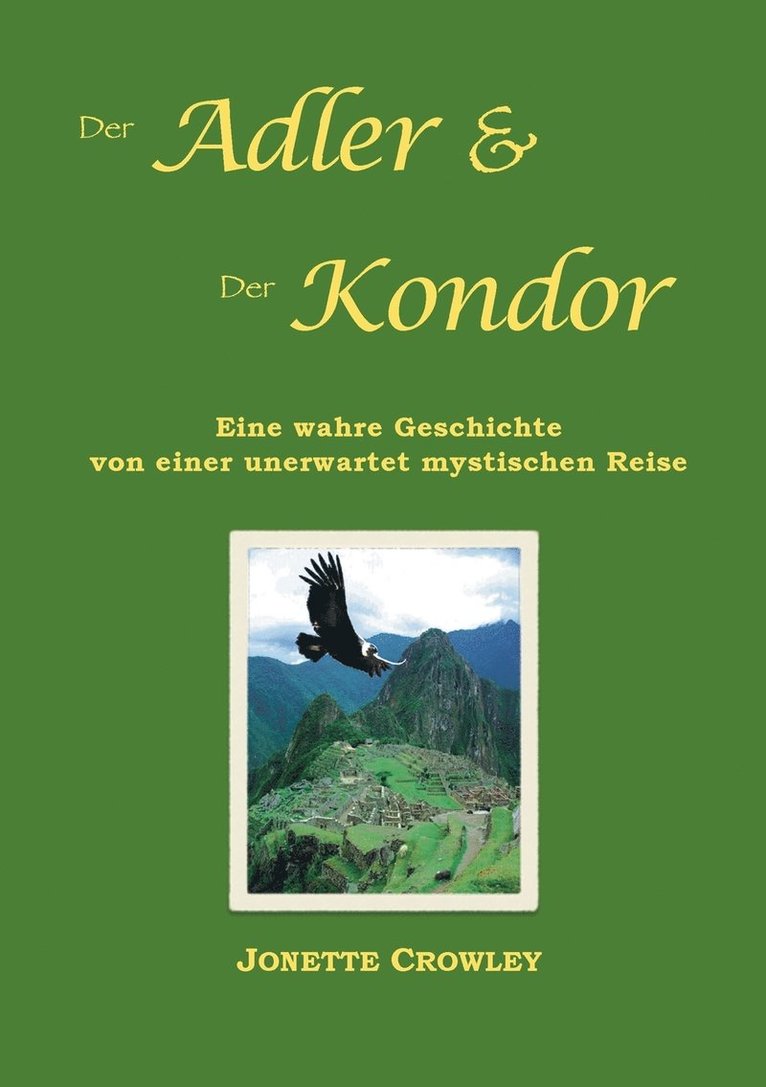 Jonette Crowley - Adler und der Kondor, Häftad